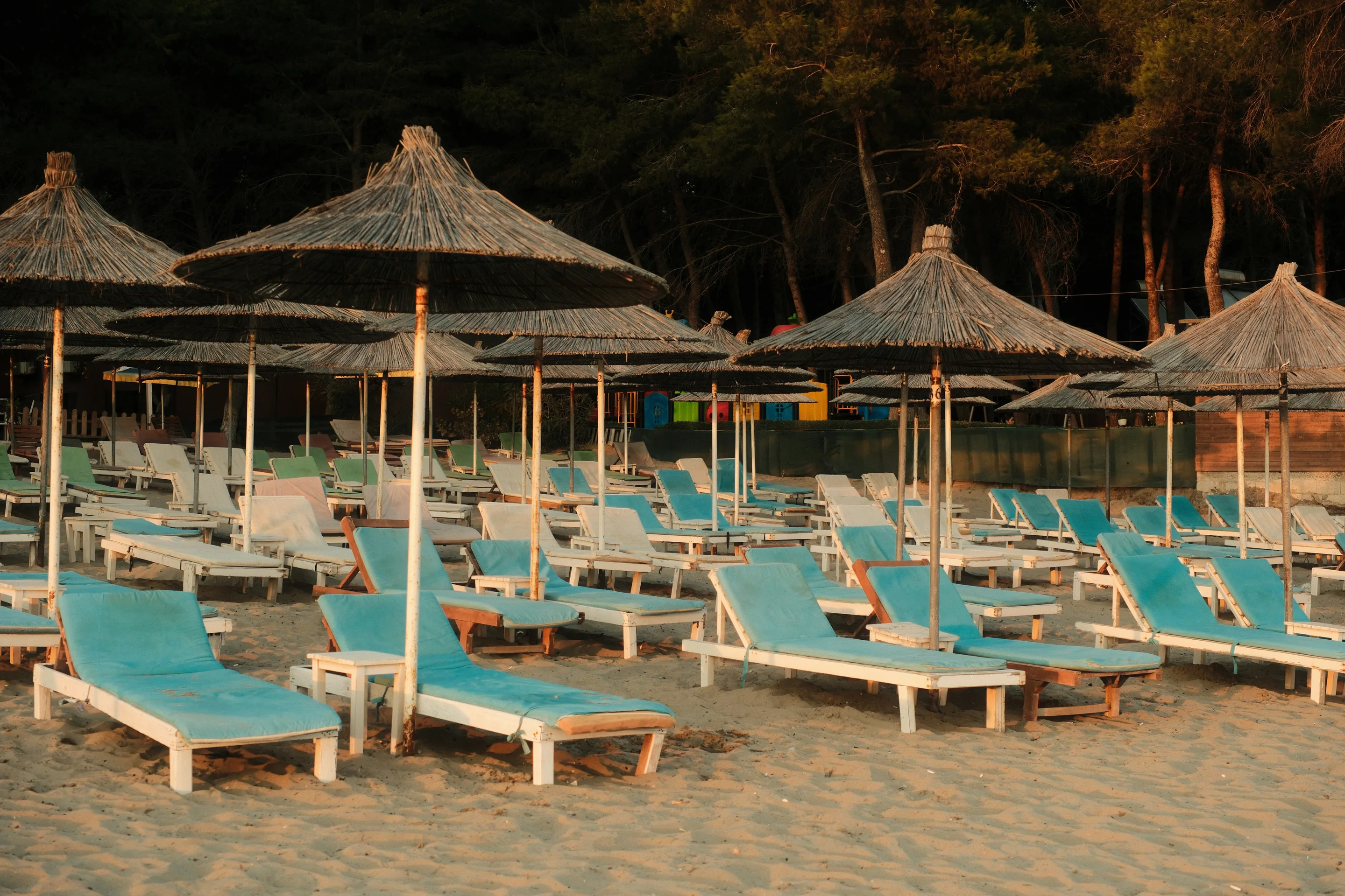Rows of teal-cushioned loungers under straw parasols on the sand, late sun